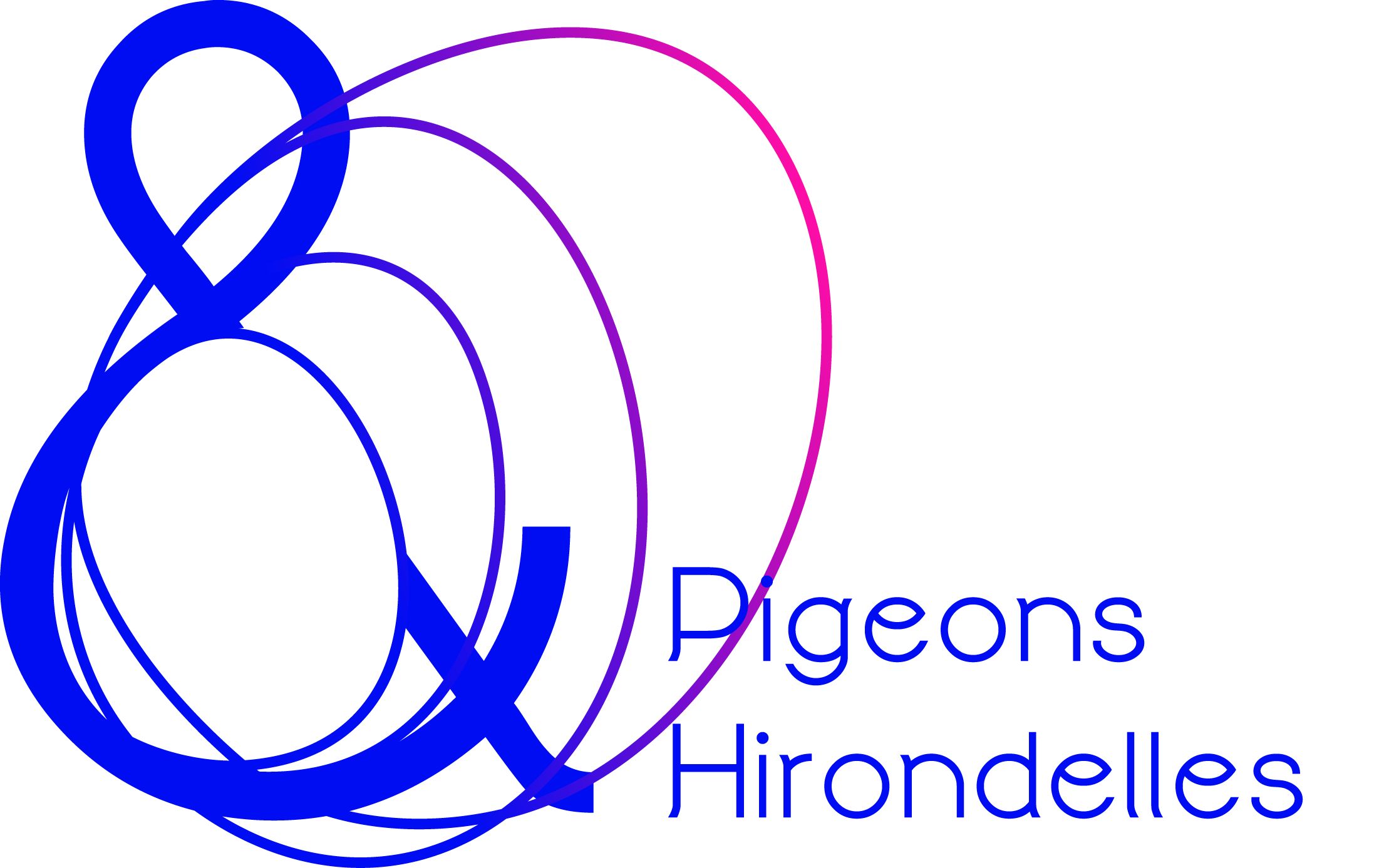 Pigeons & hirondelles