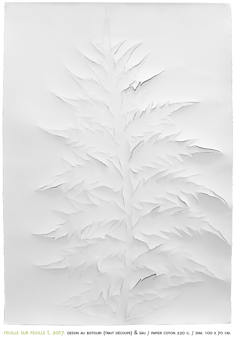 FEUILLE SUR FEUILLE I, 2017. Dessin au bistouri (trait découpe) & Eau / p. coton 100 x 70 cm RARES-VICTOR