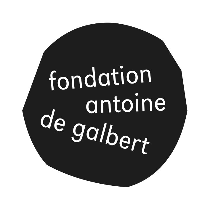 fondation Antoine de Galbert